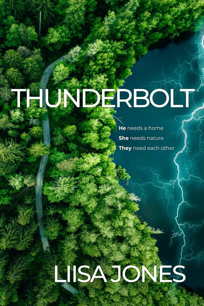Thunderbolt by Liisa Jones