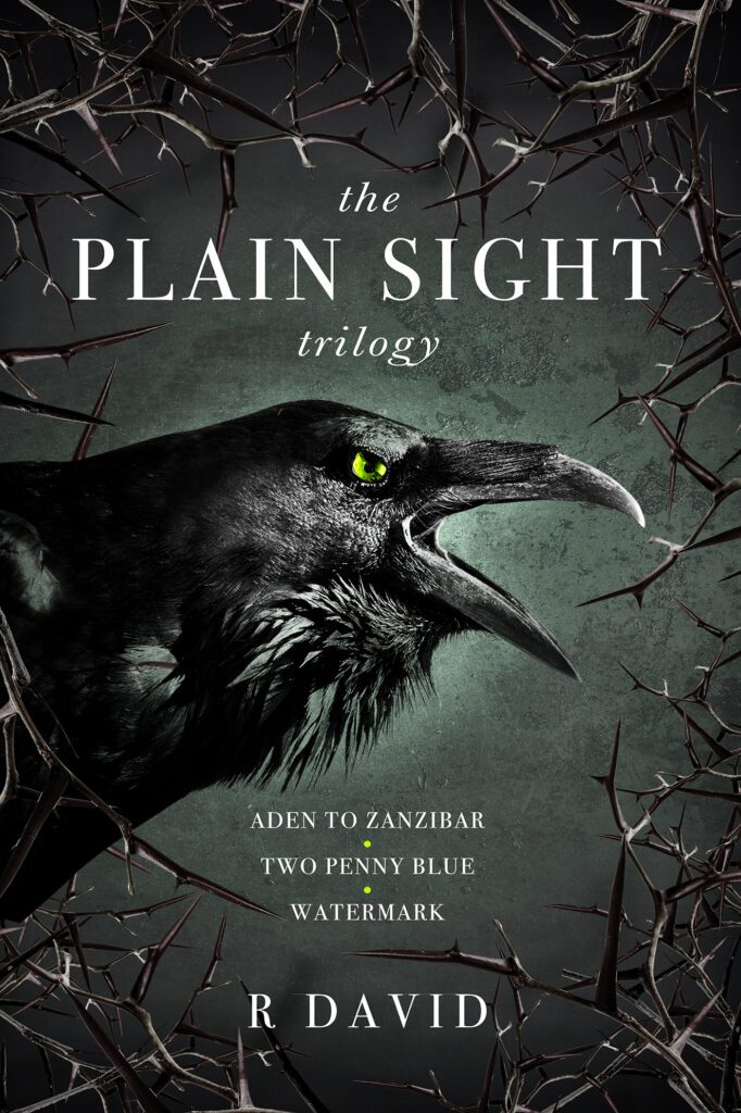The Plain Sight Trilogy by R David