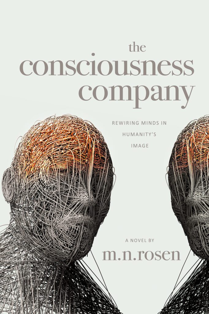 The Consciousness Company by M.N. Rosen