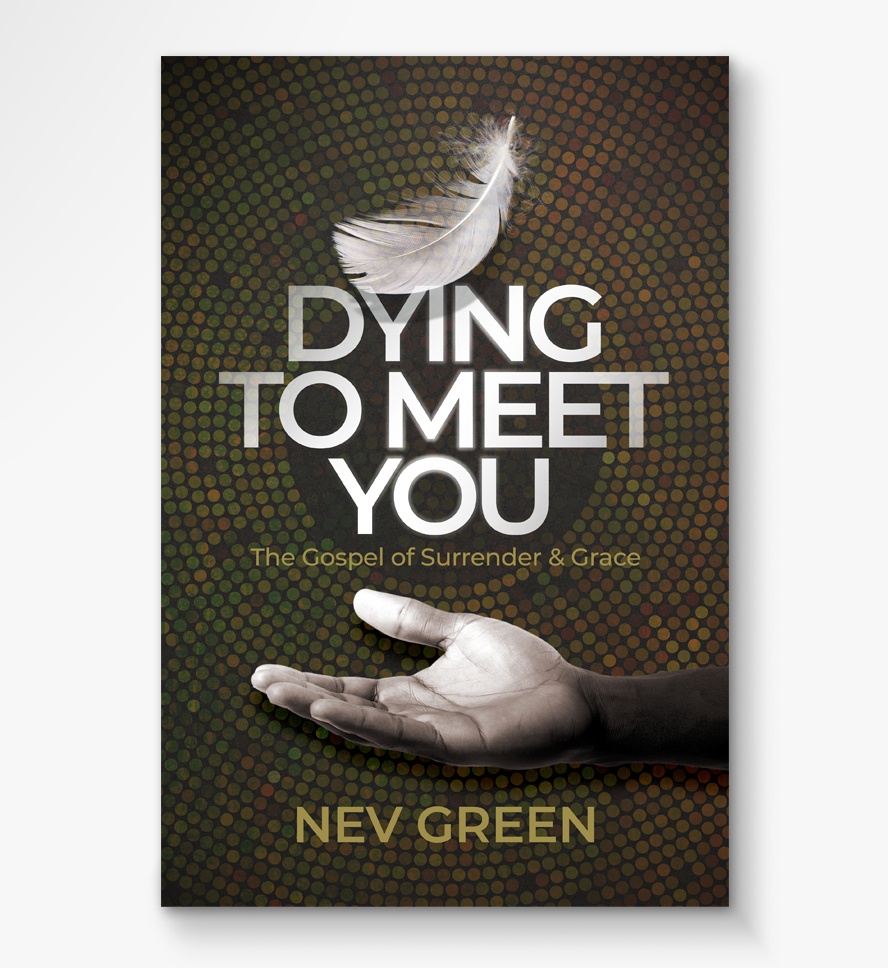 Dying To Meet You book